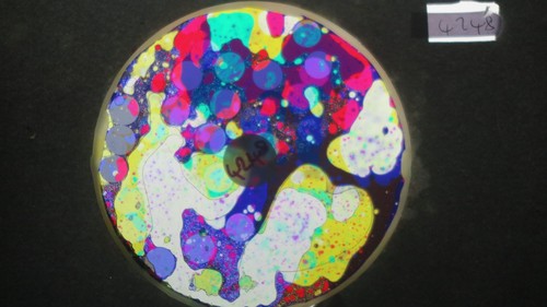 Bubble vision oil wheel with - oil,