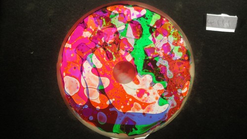 Bubble vision oil wheel - oil, with
