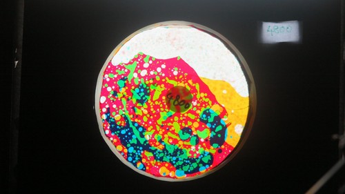Bubble vision oil wheel - bubble,