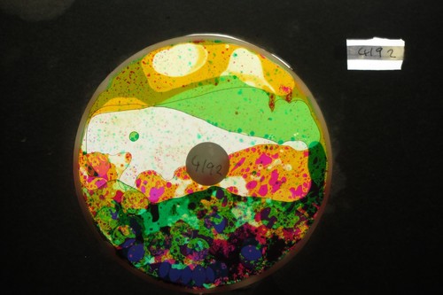 Bubble vision oil wheel with - oil,