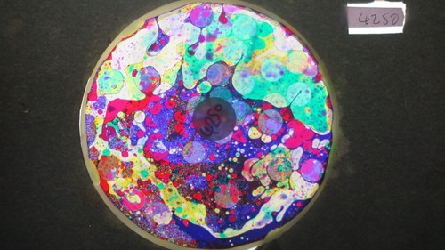 Bubble vision oil wheel with - vision,